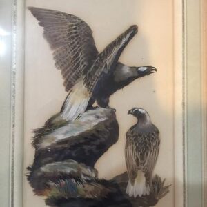 Eagles - Feathers Art - Framed