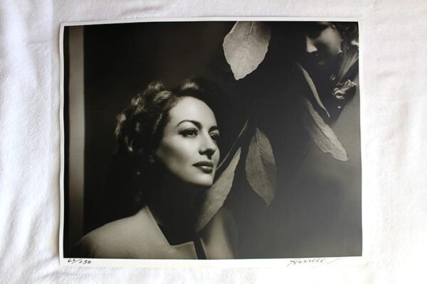 Hurrell Portfolio III: Box Set Of 10 (1982) 16x20 US Photographic Prints - Image 3
