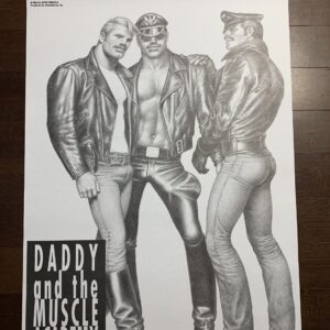 Bulk Lot of 23 (2017) 23.5x33 German LGBQT Advertising Posters