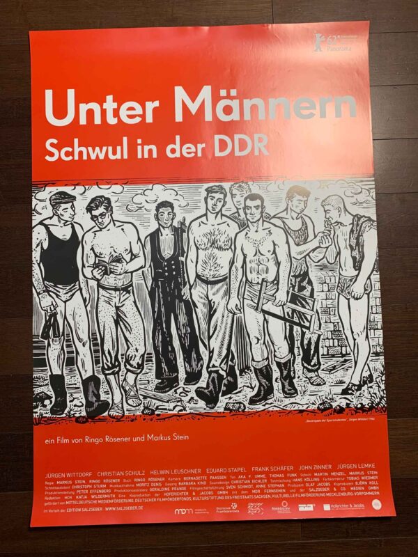 Bulk Lot of 23 (2017) 23.5x33 German LGBQT Advertising Posters - Image 3